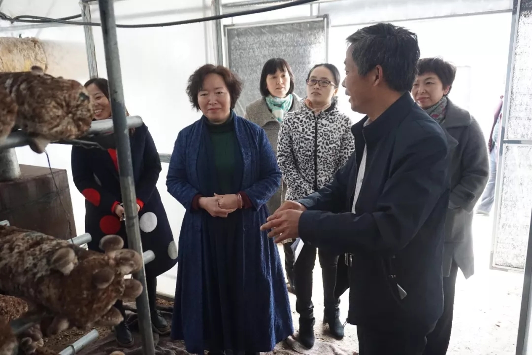 1523498211942705.jpg 640.webp.jpg