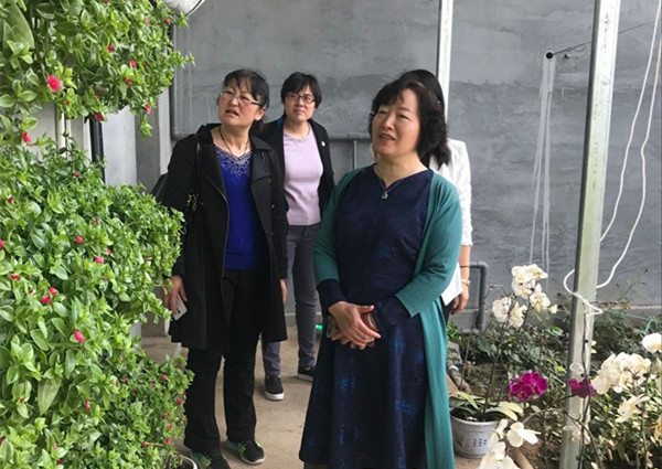 1524730211999399.jpg CD0C6987D51B860E7514FCD32B971057_副本.jpg