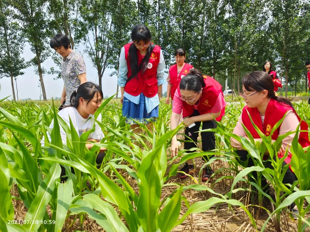 1627004981832440.jpg 640.webp (7).jpg