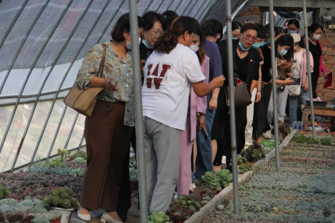 1664623271474788.jpg 2.jpg