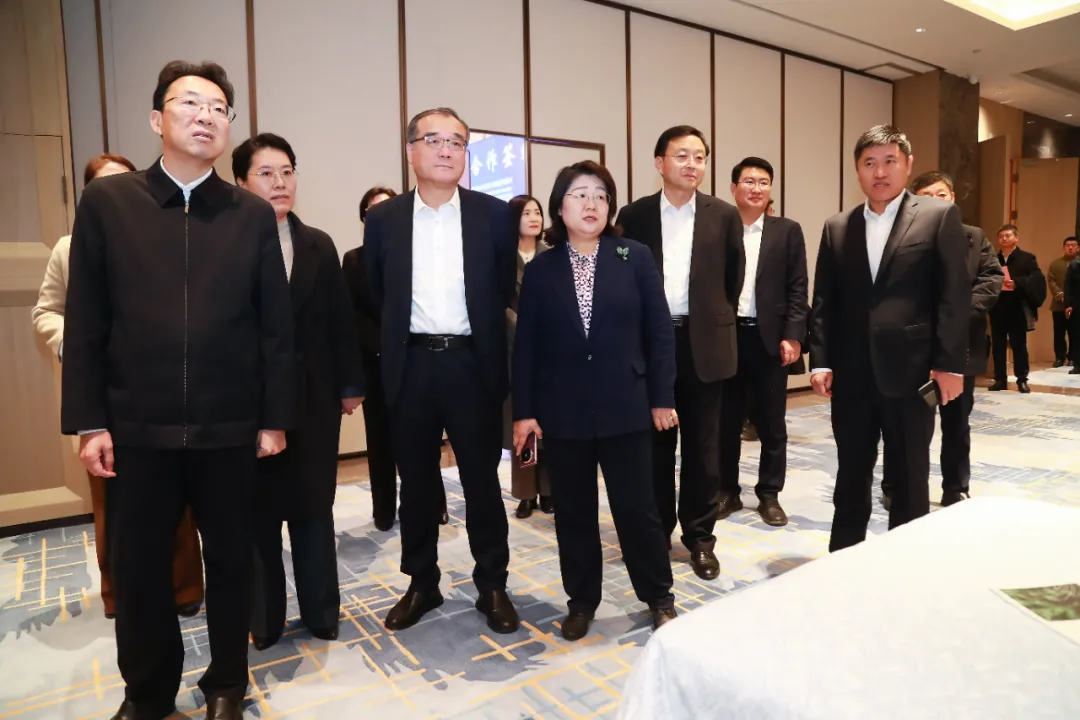 1739284691905652.jpg 1739284691905652.jpg