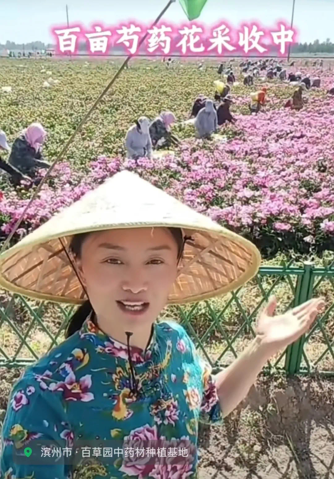 1754290519734225.jpg 4.jpg